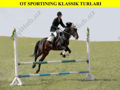 ot sportining klassik turlari — PPTX