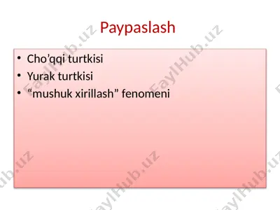 cho’qqiturtkisi — PPTX