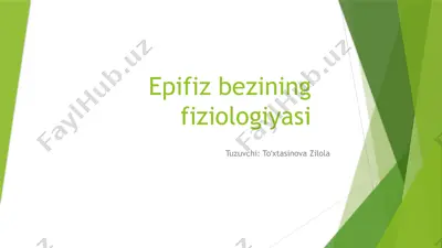 epifizbezining fiziologiyasi — PPTX