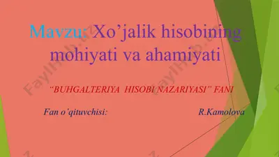 buhgalteriya hisobi nazariyasi — PPTX