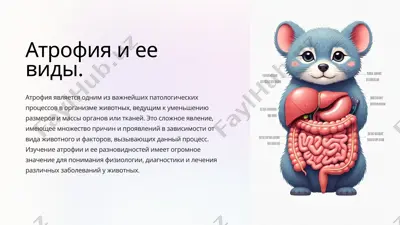 атрофия в животных — PPTX