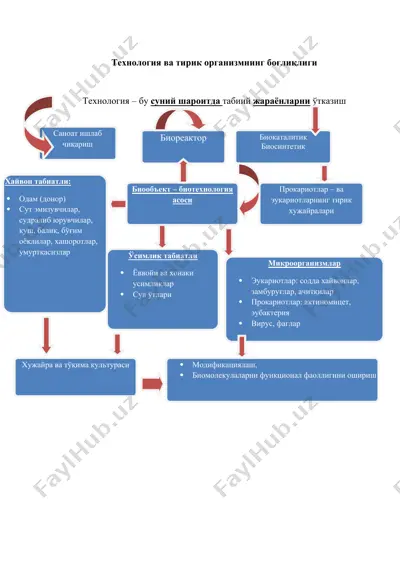 технология ва тирик организмнинг боғлиқлиги — DOCX
