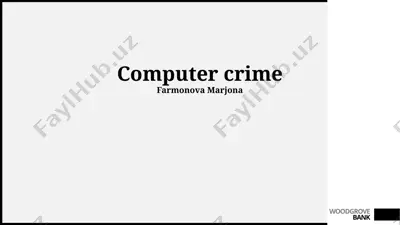 computer crime — PPTX