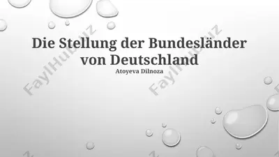 die stellung der bundesländer von deutschland — PPTX