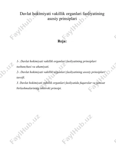 davlat hokimiyati vakillik organlari faoliyatining asosiy prinsiplari — DOC