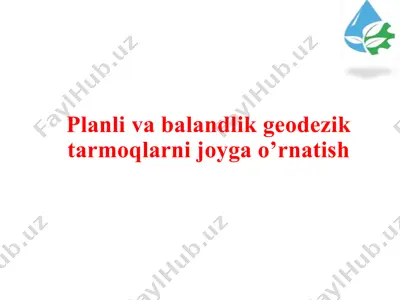 geodezik tarmoqlar — PPTX