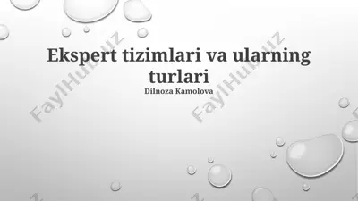 ekspert tizimlari va ularning turlari — PPTX