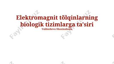 elektromagnit tõlqinlarning biologik tizimlarga ta'siri — PPTX