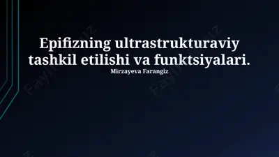 epifizning ultrastrukturaviy tashkil etilishi va funktsiyalari — PPTX