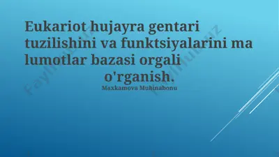 eukariot hujayra gentari tuzilishini va funktsiyalarini ma'lumotlar bazasi organi — PPTX