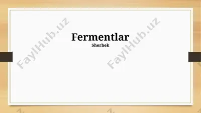 fermentlar — PPTX