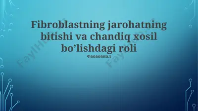 fibroblastning jarohatning bitishi va chandiq xosil bo‘lishdagi roli — PPTX