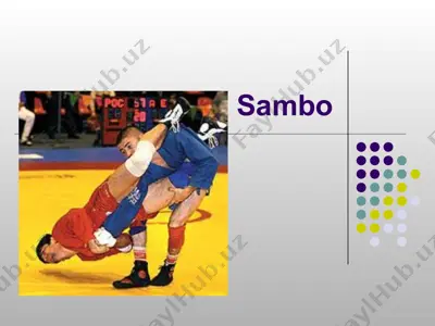sambo — PPT