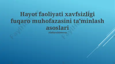 hayot faoliyati xavfsizligi fuqaro muhofazasini taʼminlash asoslari — PPTX