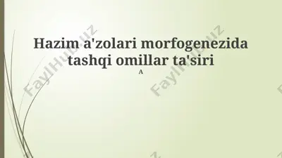 hazim a'zolari morfogenezida tashqi omillar ta'siri — PPTX