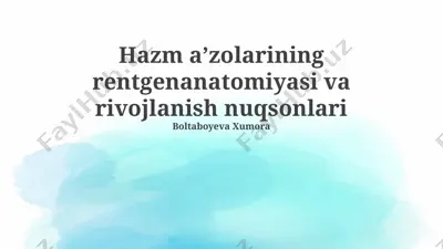 hazm aʼzolarining rentgenanatomiyasi va rivojlanish nuqsonlari — PPTX