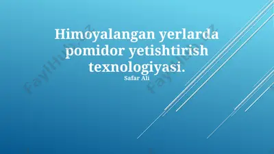 pomidor yetishtirish texnologiyasi — PPTX