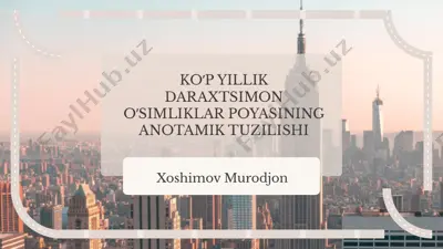 ko’p yillik daraxtsimon o’simliklar poyasining anotamik tuzilishi — PPTX