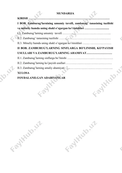 zamburugʻlar haqida — DOCX
