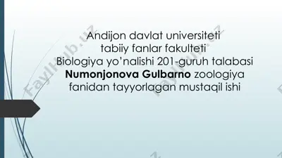 amfibiyalar eologiyasi — PPTX