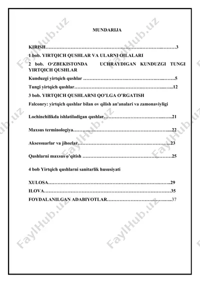 yirtqich qushlar va ularni oilalari — DOCX