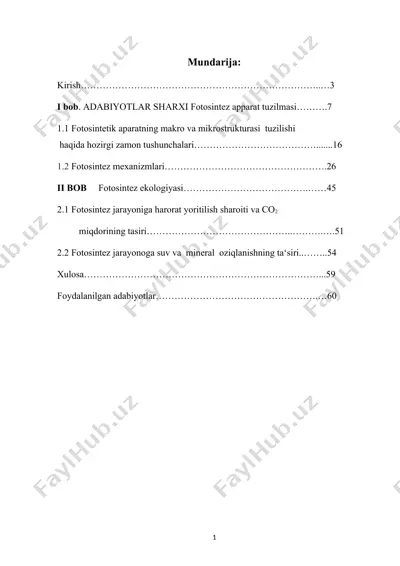 fotosintezning ekologik o‘qimida jarayoni — DOCX