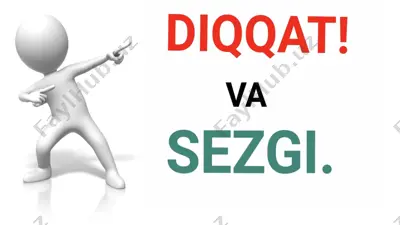 diqqat va sezgi — PPTX