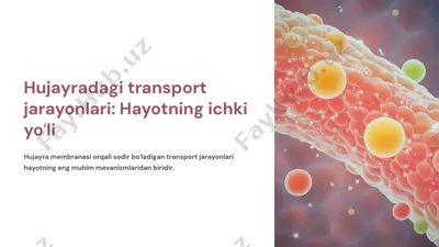 hujayradagi transport jarayonlari — PPTX