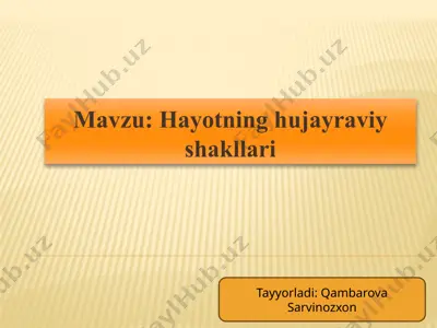 hujayraviy shakllar — PPTX