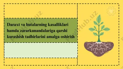 daraxt va butalarning kasalliklari hamda zararkunandalariga qarshi kurashish tadbirlari — PPTX