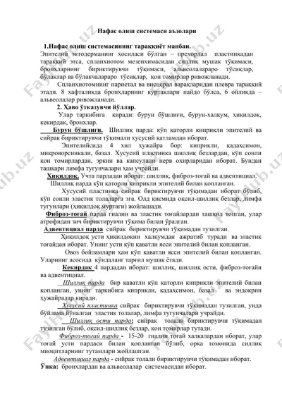 нафас олиш системаси аъзолари — DOCX