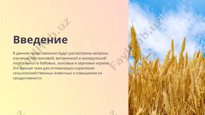 протеиновая, витаминная и минеральная питательность бобовых, злаковых и зерновых кормов — PPTX