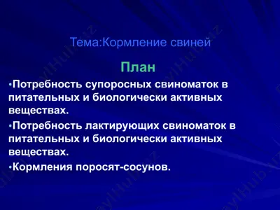 кормление свиней — PPTX