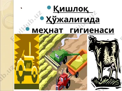qishloq huquqshunoslik asoslari — PPT