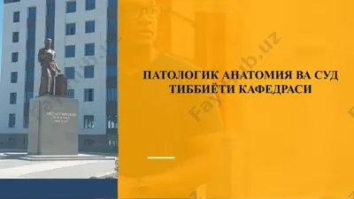 patologik anatomiya va sud tibbiyoti kafedrasi — PPTX
