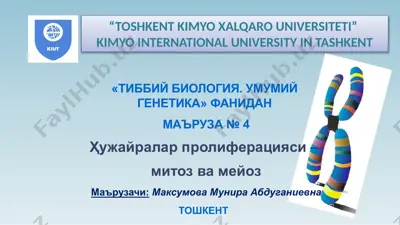 ҳужайралар пролиферацияси–митозвамейоз — PPTX