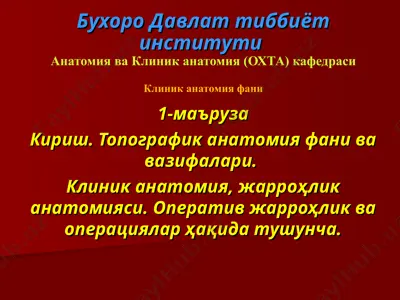 klinika anatomiyasi — PPT
