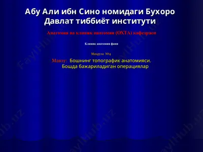 buxoro davlat tibbiyot instituti - klinika anatomiya fani — PPT