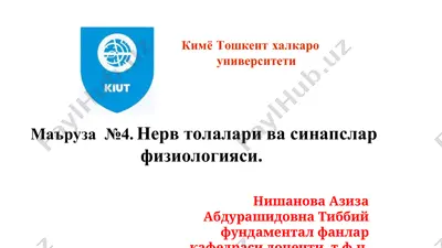 нерв толалари ва синапслар физиологияси — PPT