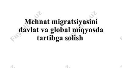 mehnat migratsiyasini davlat va global miqyosda tartibga solish — PPTX