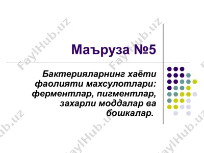 бактерияларнинг хаёти фаолияти махсулотлари — PPT