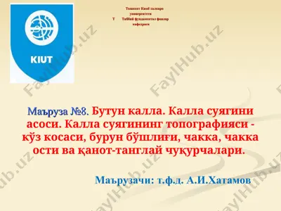 butun kalla topografiyasi — PPT