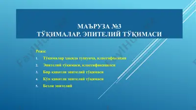 эпителийтўқимаси — PPTX