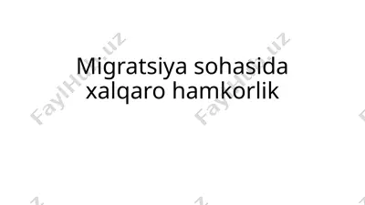 migratsiyasohasidaxalqarohamkorlik — PPTX