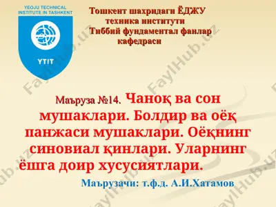oyoq mushaklari — PPT