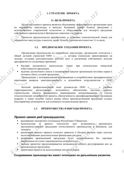 организация цеха по переработке макулатуры и выпуску бумажной (крафт бумага) продукции — DOC