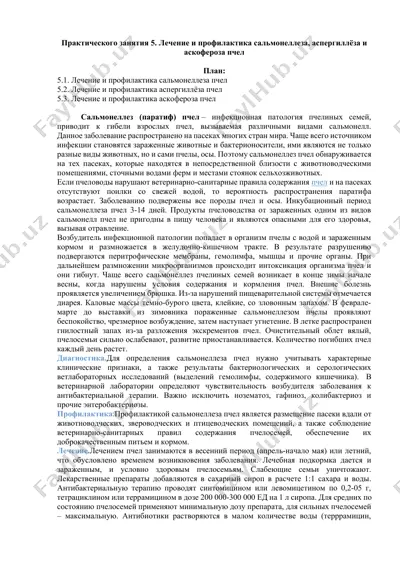 лечение и профилактика сальмонеллеза, аспергиллёза и аскофероза пчел — DOCX