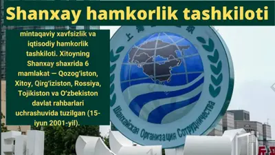shanxay y hamkorlik tashkiloti — PPTX