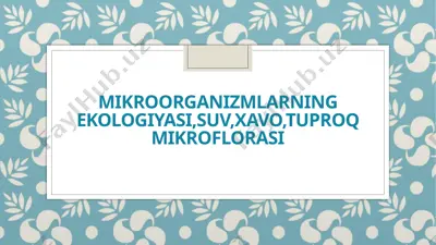 mikroorganizmlar ekologiyasi — PPTX