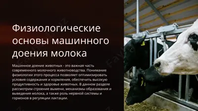 физиологические основы машинного доения молока — PPTX